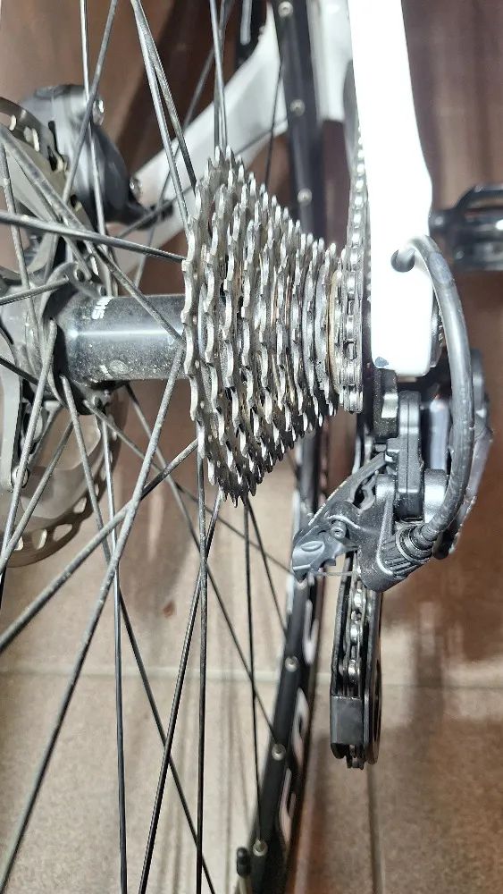 Maxbike Grafen GR 8200