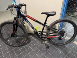 Cannondale Trail 24