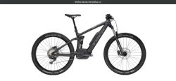 Trek Powerfly 5