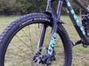 Trek Remedy 8