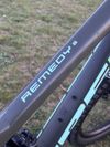 Trek Remedy 8