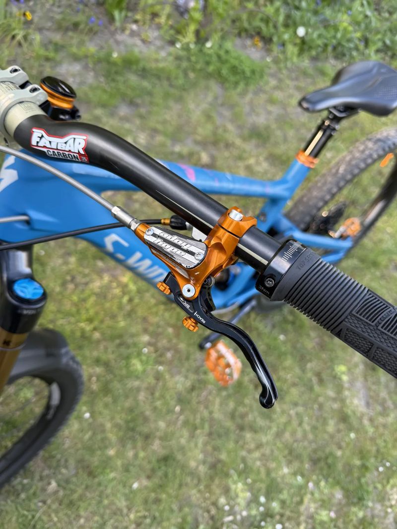 Specialized Specialized Enduro S-Works
