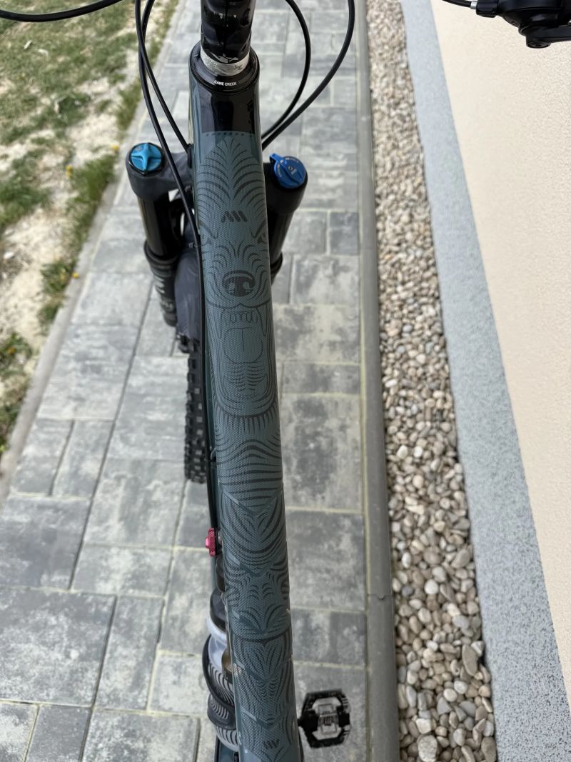 Santa Cruz Bronson C