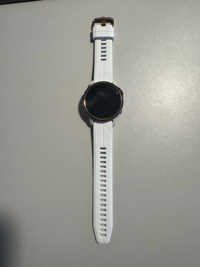 Garmin fenix 6s pro