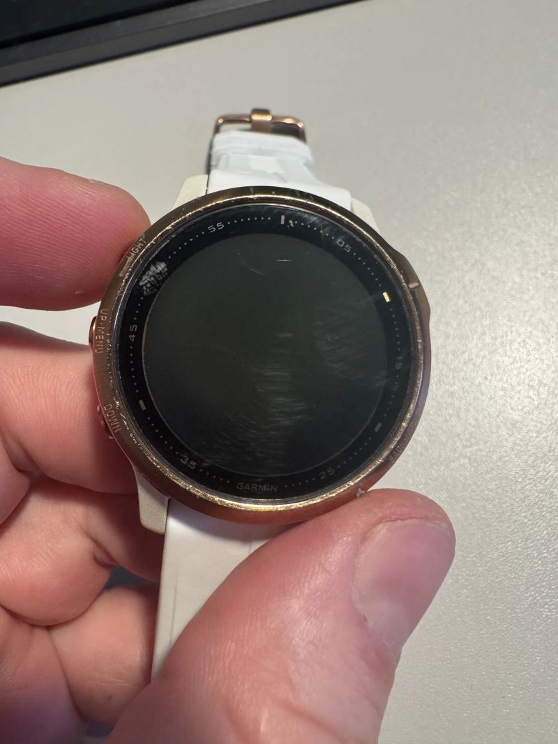 Garmin fenix 6s pro