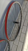 Kola Merida Expert CC