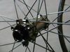 Newmen Advanced SL X.A.30 carbon + SAS