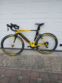 Mosso Cavalier