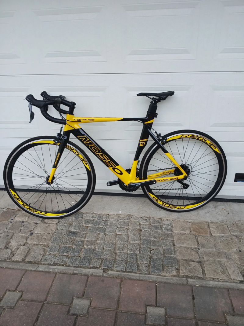 Mosso Cavalier