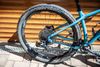 Santa Cruz Chameleon