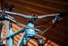 Santa Cruz Chameleon