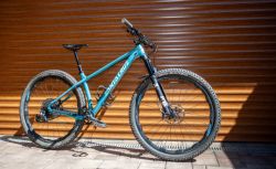 Santa Cruz Chameleon