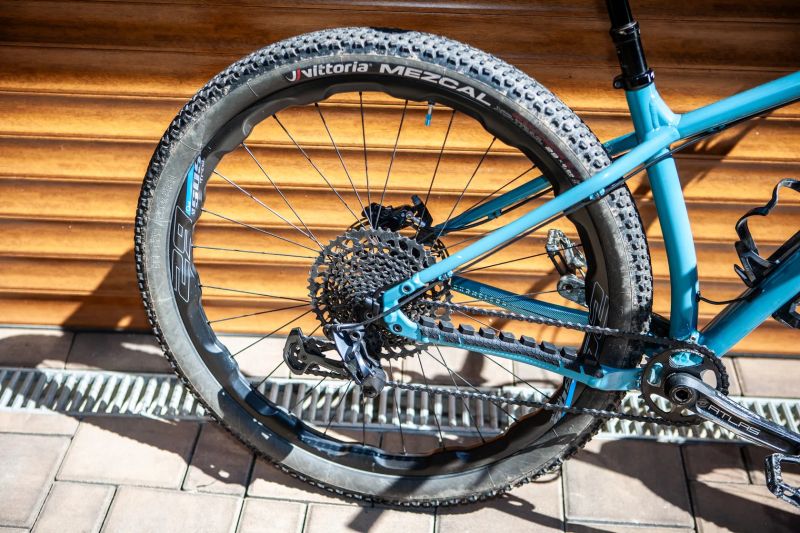 Santa Cruz Chameleon