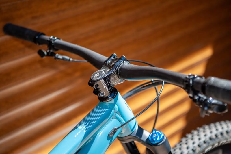 Santa Cruz Chameleon