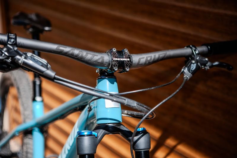 Santa Cruz Chameleon