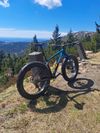 Trek Farley5