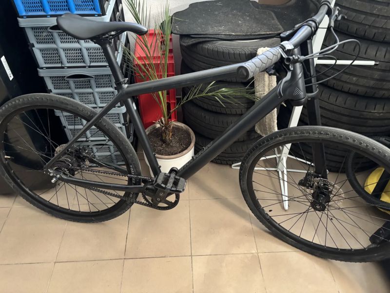 Cannondale Bad Boy 1