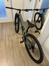 SPECIALIZED Rockhopper Elite 29 Gloss Sage Green/Oak Green 2022 S