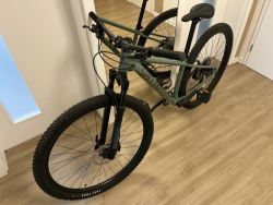 SPECIALIZED Rockhopper Elite 29 Gloss Sage Green/Oak Green 2022 S