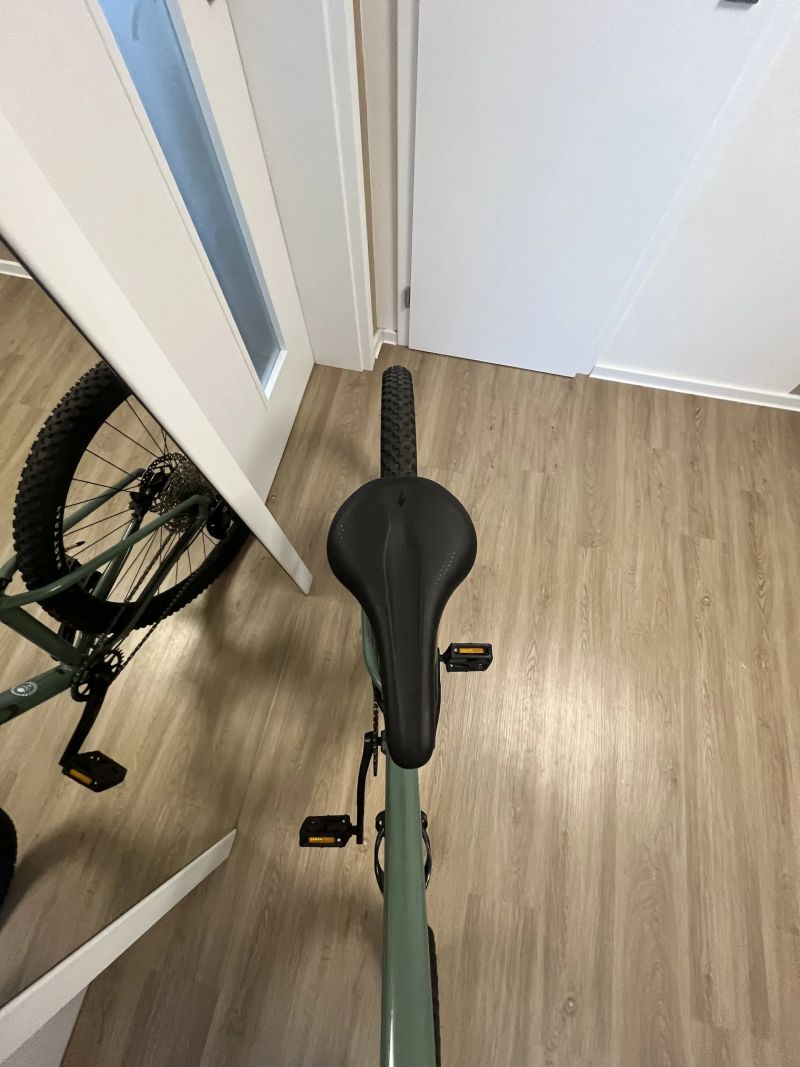 SPECIALIZED Rockhopper Elite 29 Gloss Sage Green/Oak Green 2022 S