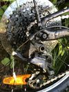 Trek Wahoo Path 20