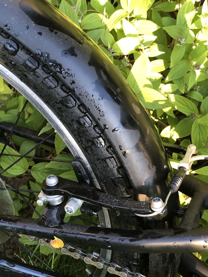 Trek Wahoo Path 20