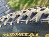 Plášť Continental, Dubnital, Race Rapid, kevlar černá , Tulebess Ready 29x2.40