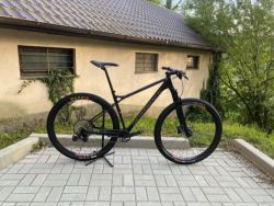 Silverback Superspeed 29