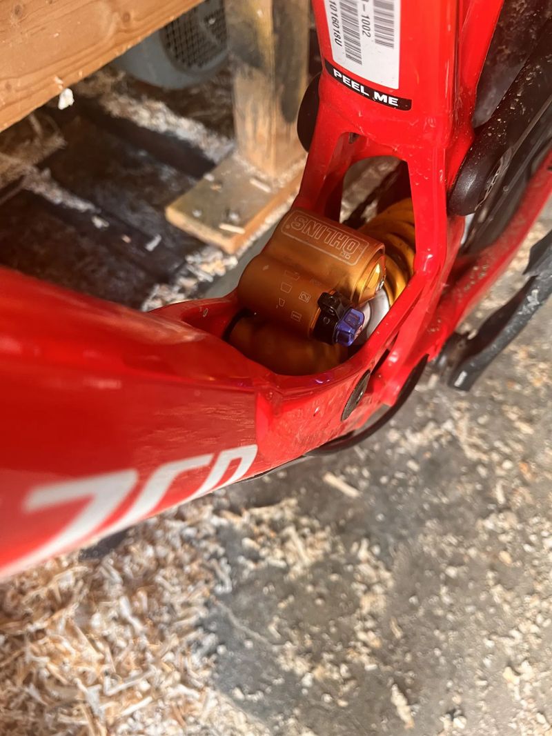 Specialized DEMO