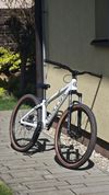 Kellys Whip 30 2025 - DiRT jump
