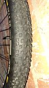 DT Swiss spline
