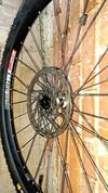 DT Swiss spline
