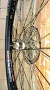 DT Swiss spline