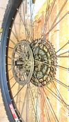 DT Swiss spline