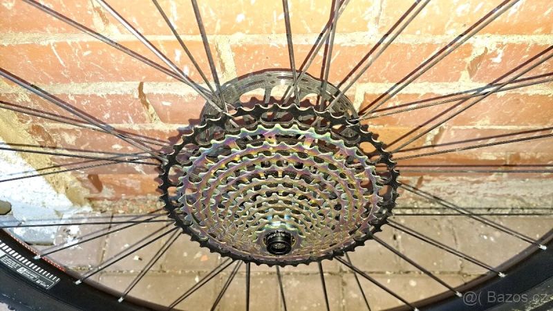 DT Swiss spline