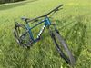 Trek Roscoe 7