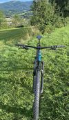Trek Roscoe 7