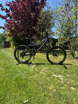 Specialized