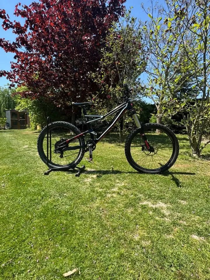 Specialized