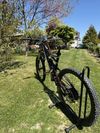 Specialized
