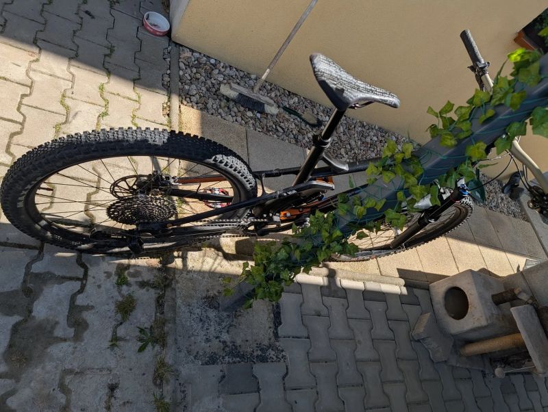 Canyon Strive Al 6.0R