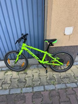 Giant ARX 20