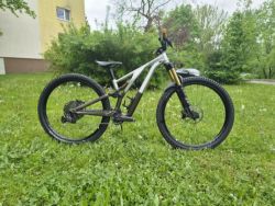 Specialized Stumpjumper Evo Elite