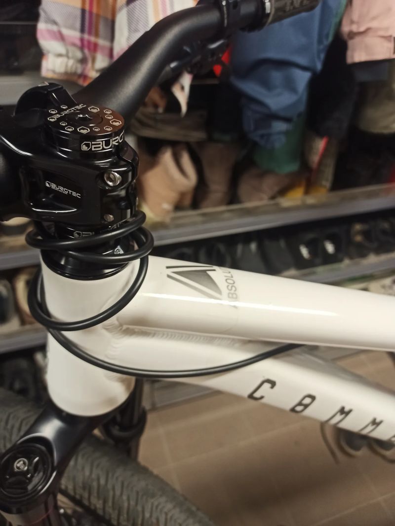 Commencal Absolut Pike