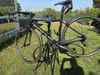 Focus Izalco Race