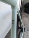 Canyon Endurace al 6 barva Cold cactus