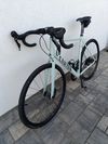 Canyon Endurace al 6 barva Cold cactus