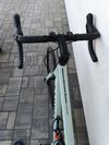 Canyon Endurace al 6 barva Cold cactus