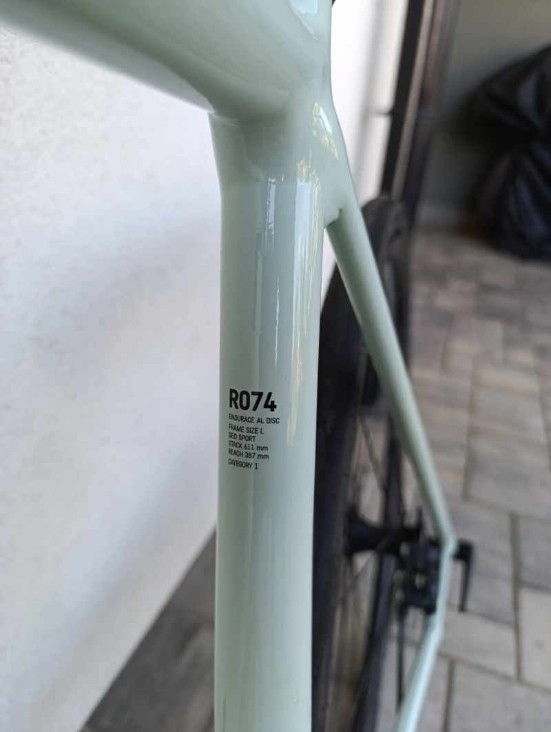 Canyon Endurace al 6 barva Cold cactus