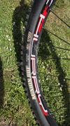 Canyon Spectral AL6